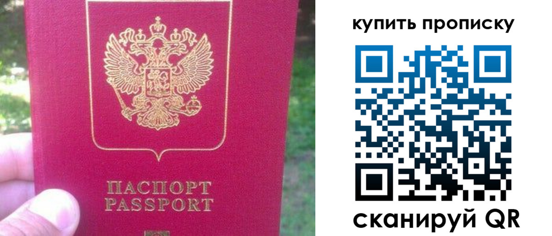 временная регистрация для школы в Зернограде